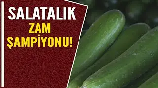 SALATALIK ZAM ŞAMPİYONU!