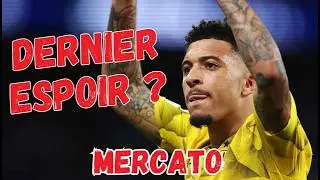 🚨PSG - ALVAREZ, KIMMICH, SANCHO, UGARTE...Le point MERCATO !🔴🔵