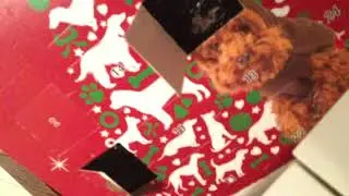 Opening Number 6 On The Advent Calendar