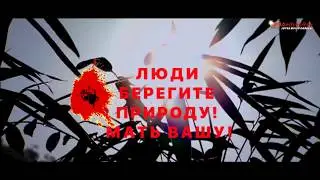 #Sandra - Johnny Wanna Live*  Remix 2019** 18+***