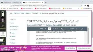 CSIT 217 Course Overview for experienced Canvas users
