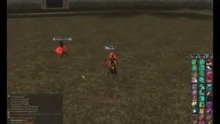 L2Hunter riddle powns