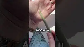 Technické perá Sakura Pigma Micron 🖌️🎨ideálne na kreslenie, akvarel, či kaligrafiu ✏️ #artmie