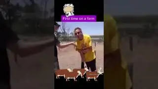 DONT TOUCH THAT!!⚡⚡