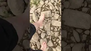 гуляю с собакой