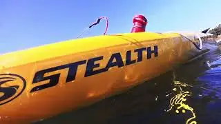 Spearfishing on the 4th of July!