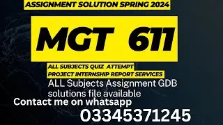 mgt611 assignment solution Spring 2024