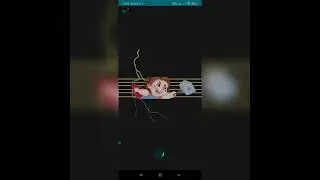 Как зайти web coin? cсылка в коментарии