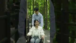 서울 도심의 메타세쿼이아길 산책