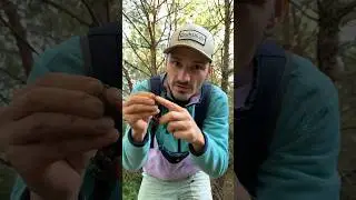 Раскопки / у моряка было две подруги, а не одна