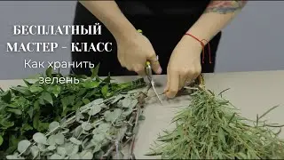 БЕСПЛАТНЫЙ МАСТЕР - КЛАСС как хранить зелень