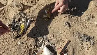 Добытчик 8)