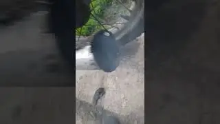 Звук мопеда карпаты без флейты на глушителе