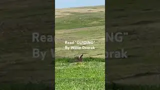 KILL SHOT-Guiding prairie dog hunters