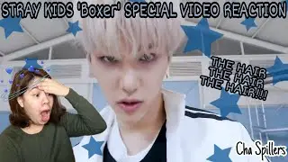 Stray Kids (스트레이 키즈) - 'Boxer' SPECIAL VIDEO REACTION