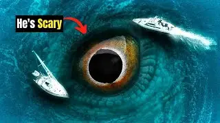 Discover the Most Astonishing Animals on Earth
