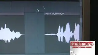 Cleaning Audio in FL Studio during Retakes