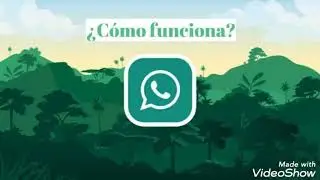 ¿Qué es WhatsApp y cómo funciona?