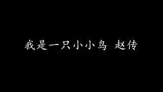 我是一只小小鸟 赵传 (歌词版)