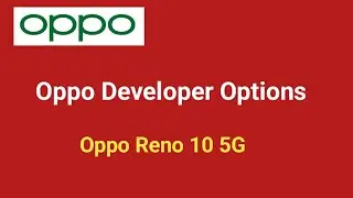 Oppo Reno 10 5G Developer Options on Process