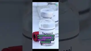 What is the 7 day Antibiotic for Gonorrhea?