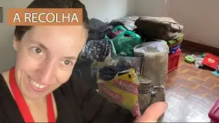 A tão aguardada recolha - Episódio 11