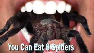 Facts VS Myths💥🔥  YOU CAN EAT 8 SPIDERS
