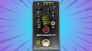 Craziest Reverb yet!? Mosky Multi Spring Reverb