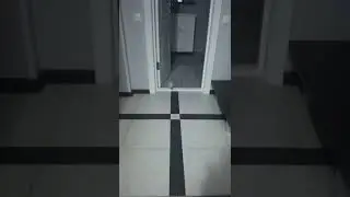 Леонид встречает гостей