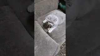 А вы знали?😁 