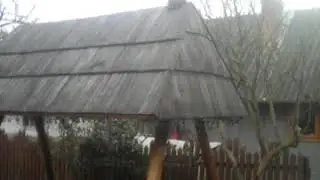 Моя кошка сидит крыше ...