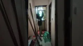 Dismantle of Wooden Door