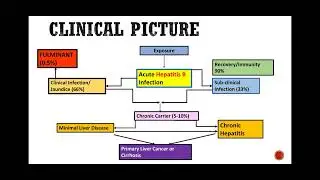 Hepatitis|| complete description of Hepatitis || Liver pathology