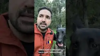 Ce faci când dai de astfel de specimene in mediul online?