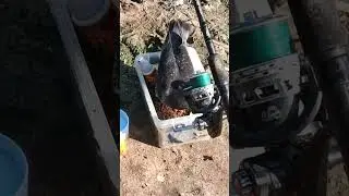Доедай кашу и полетели домой 🤣🤣🤣