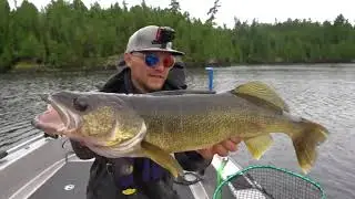 Top 3 BIGGEST WALLEYES Caught in Tournaments (compilation)