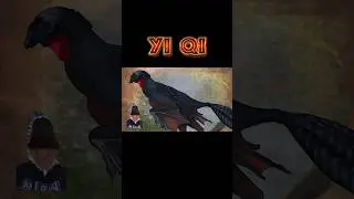 The Dragon Dinosaur