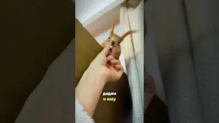 A feast of spicy chips for my little friends! 😋😄