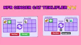 NFR Ginger cat tekliflere baktım🐈| Beren Roblox'ta💕|Roblox Adopt me🌍|