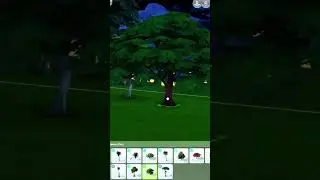 Мой любимый способ украшения деревьев 🥹 