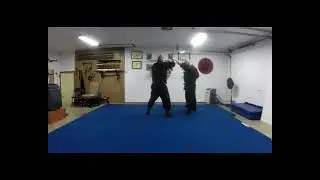 KSROkuden Ryu Fu/Yanagi Kaze