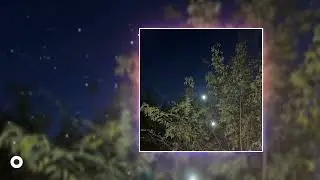 sandezz - Экзорцист