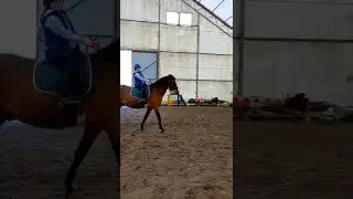 Самый страшный, первый галоп на новой лошади 😁