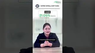 Best Small Cap Funds to Invest in 2024