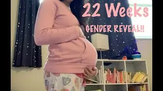 22 Weeks Bumpdate & Gender Reveal!