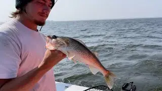Walleye Fishing: Lake Of the Woods  -  Williams, MN Sept 2023