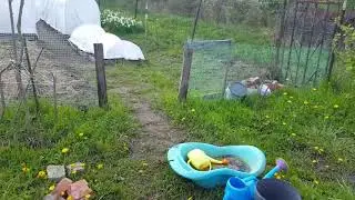 Навела полный порядок на участке,теперь можно и отдохнуть😉😊