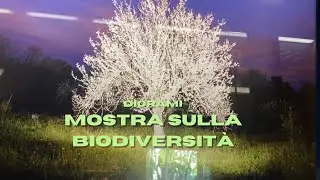 DIORAMI MOSTRA SULLA BIODIVERSITA' 🌲 #vlogger #creative #fypシ #fypシ゚viral #vlog