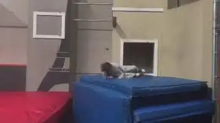 Parkour jiu jitsu.