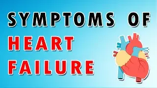 Heart Failure Explained: How the Heart's Functionality Changes
